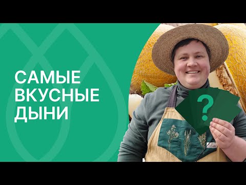 Видео: Эти дыни вас точно не разочаруют!