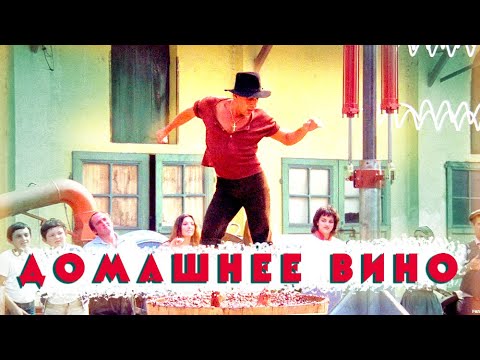 Видео: ВИНО в домашних условиях. Для начинающих. Общая технология.
