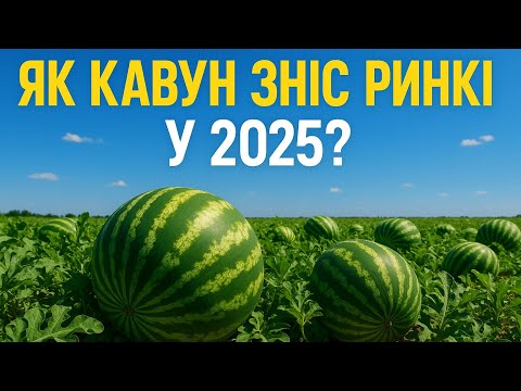 Видео: Кавун це Джек-пот або провал?Кавун 2025