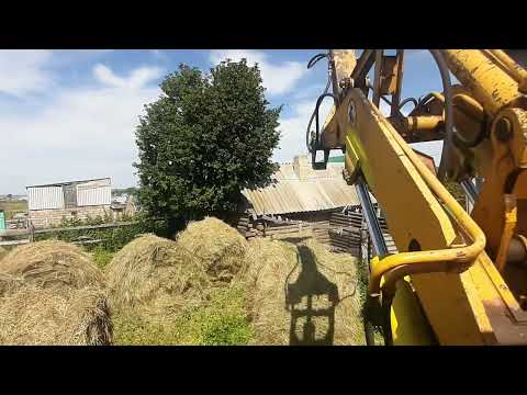 Видео: 27 июля 2025 г.