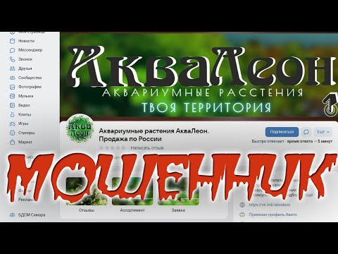 Видео: АкваЛеон - Мошенник