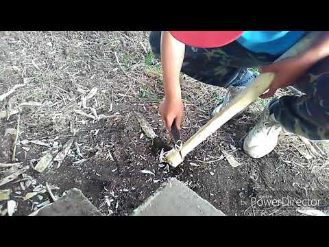 Видео: Сделал мощную биту.