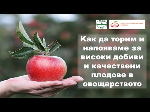 Видео: Как да торим и напояваме за високи добиви и качествени плодове в овощарството