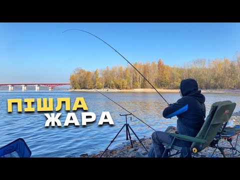 Видео: КАРАСІ ПРУТЬ ОДИН ЗА ОДНИМ‼️ ФІДЕР НА СУЛІ‼️