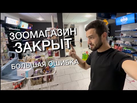 Видео: Почему ЗООМАГАЗИН закрывается 1 ГОД спустя