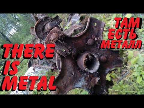 Видео: 🍀ВЫДИРАЯ МЕТАЛЛ ИЗ ЗАРОСЛЕЙ! КОПАЕМ?