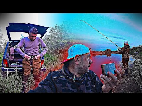 Видео: СТАРЕНЬКИЙ ТИГР ПРИВЕЗ МЕНЯ В ЛЮБИМОЕ МЕСТО И НАЧАЛОСЬ / РЫБАЛКА С НОЧЁВКОЙ НА РЕКЕ МОКША