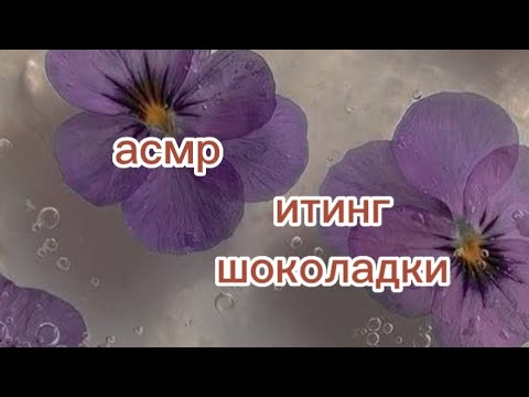 Видео: асмр итинг шоколадки😋✨💗