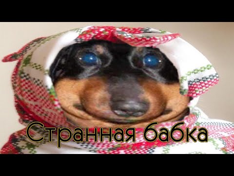 Видео: DAWG - Невероятная история про общагу и странную бабку