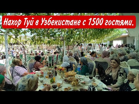 Видео: Самый большой Нахор Туй в Узбекистане с 1500 гостями | Самарканд Шредер