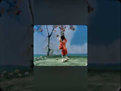 Видео: Лиса и волк 1936 часть 1