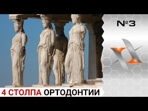 Видео: Основы ортодонтии: 4 столпа