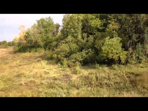 Видео: ст. Сагуны - ст.Подгорное