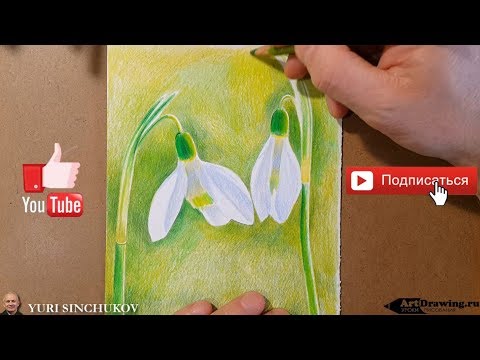 Видео: Как нарисовать Подснежники цветными карандашами