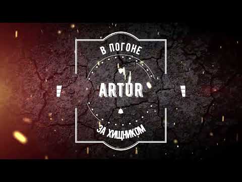 Видео: Ночная охота на шакала с Kurbatov R-715. Добыта семья шакалов.