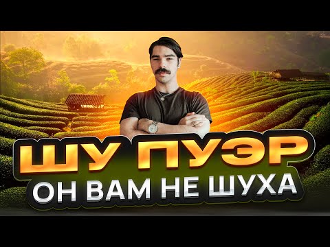 Видео: Самый бодрящий чай? Что такое шу пуэр