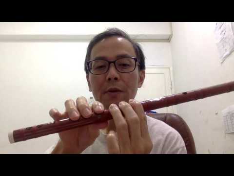 Видео: 6 Как играть на дицзы: Как держать дицзы