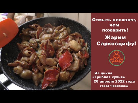 Видео: Отмыть намного сложнее, чем пожарить! Жарим Саркосцифу австрийскую!  Из цикла "Грибная кухня".