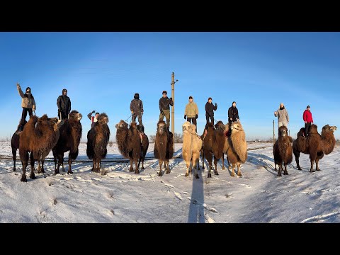Видео: Калмыкия на связи 👌