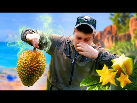 Видео: 5 САМЫХ ЭКЗОТИЧЕСКИХ ФРУКТОВ! ОБЗОР на ДУРИАН! ВАС ОБМАНЫВАЮТ!