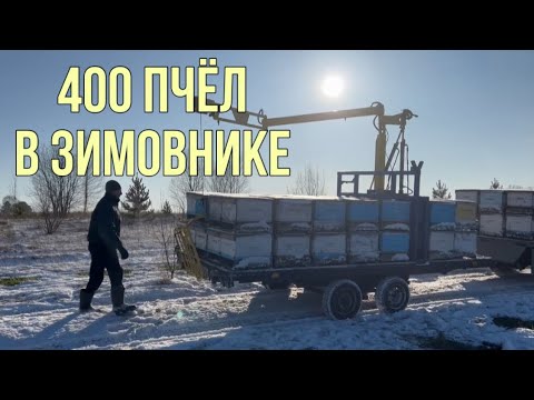 Видео: Занос пчёл в зимовник с помощью манипулятора