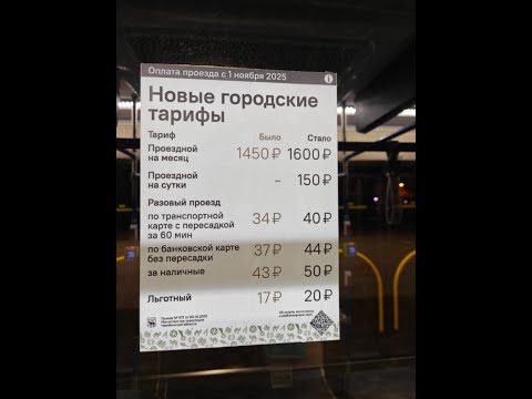 Видео: ночное терпение