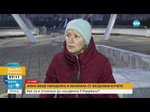 Видео: Жена беше нападната и нахапана от глутница бездомни кучета в Кърджали - Здравей, България