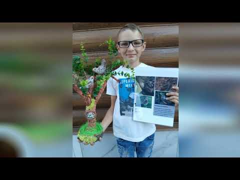 Видео: Птах року 2025