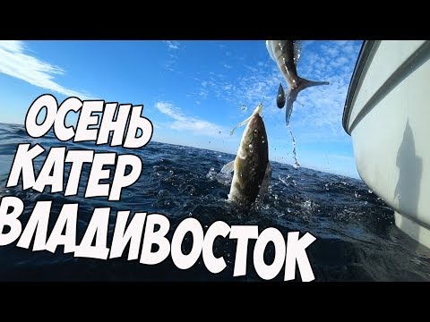 Видео: Морская рыбалка во Владивостоке