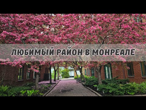 Видео: Район для жизни в Монреале | Часть 1