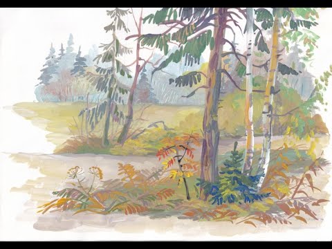 Видео: Лесные тропинки