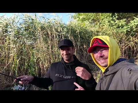 Видео: С похолоданием у щуки активируется жор. А судак что-то есть не хочет, но уговорить можно. Джиг с ...