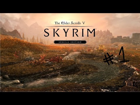 Видео: The Elder Scrolls V Skyrim : Special Edition Начало приключения #1