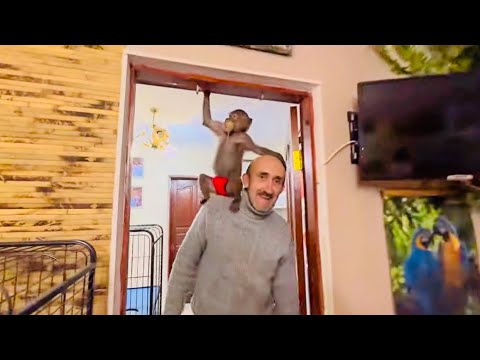 Видео: РЖАКА! Вы хотели увидеть Люсю-пожалуйста, Люська в красных труселях ГРОМИТ ДОМ)))