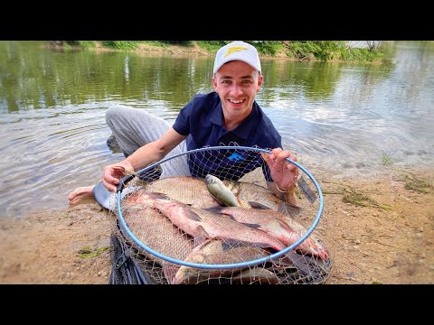 Видео: Лещ на ФИДЕР !!! Секретные насадки на леща! Река Днепр и много рыбы.