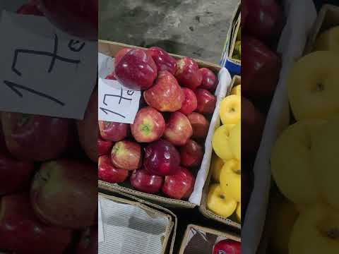 Видео: Нархи ангур дар бозори яклухтфурушӣ дар Гипрозем.