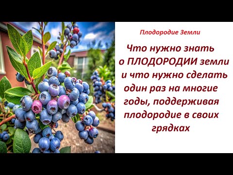 Видео: Процессы плодородия будут протекать сами №629/24
