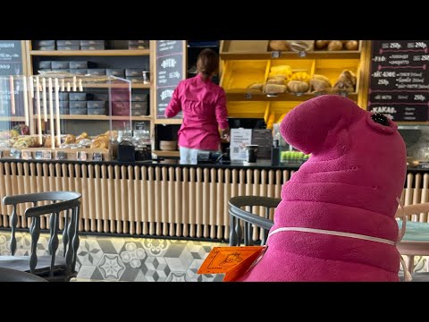 Видео: Моя любимая французская кондитерская “Bodrero” ,вкусные круассаны,эклеры и многое другое…🍭🥐💕🍧