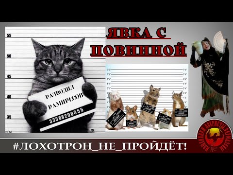 Видео: Явка с повинной. (Автор - Наталия Рамирес)