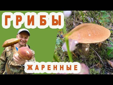 Видео: Жареные Грибы  [ Подосиновики ]  Очень вкусно