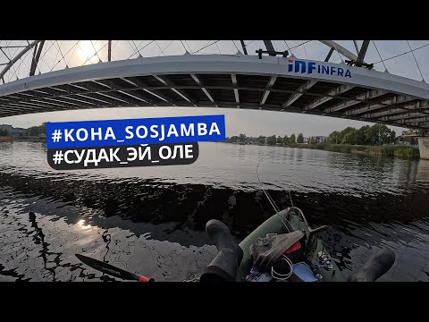 Видео: В поисках Судака. Хандемарины на Пярну речке.