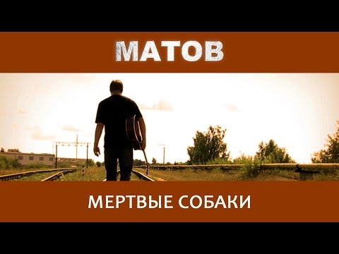 Видео: Алексей Матов - Мертвые собаки
