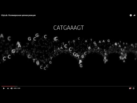 Видео: Полимеразная цепная реакция. Лаборатория CL (бывший CityLab)