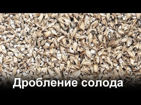 Видео: Дробление солода