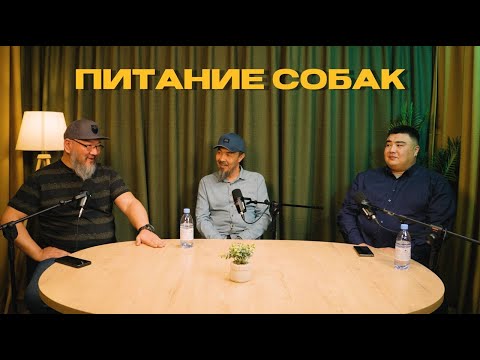 Видео: Питание Собак