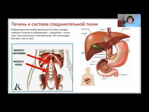 Видео: Чжун Юань Цигун. Работа с печенью и глазами