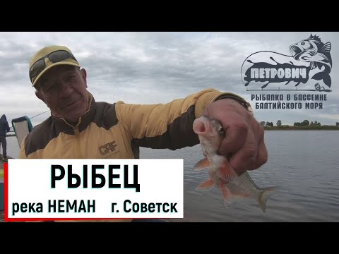 Видео: VLOG: Рыбец! Рыбалка в черте города. Октябрь 2020.