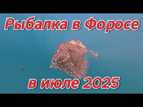 Видео: Рыбалка в Форосе в июле 2025