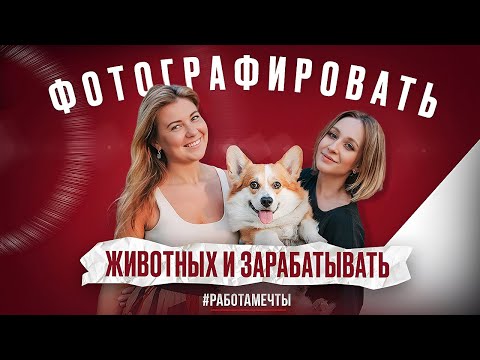 Видео: Работа мечты. ФОТОГРАФ АНИМАЛИСТ Анна Пушина рассказывает о профессии за 10 минут #фотография