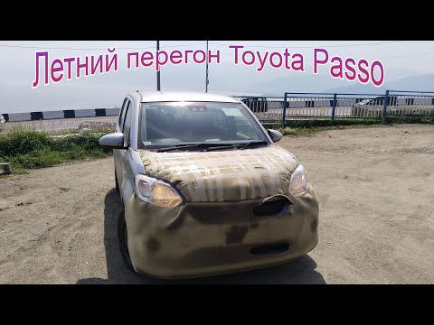 Видео: Перегон из Владивостока. Toyota Passo XL 2019